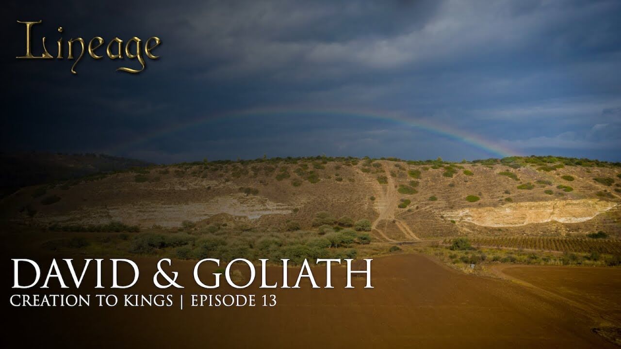 A13: David & Goliath